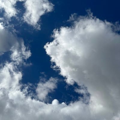 tianlonghu's profile picture. World tax, finance, investment & China's legal, financial & business policies; #internationaltax, #wolverines, #GoBlue