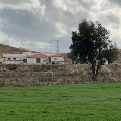 s_af2's profile picture. 