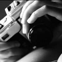 Secret Zebra (@equivokesutra) 's Twitter Profile