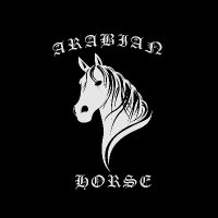 ARABIAN HORSE 🐎(@ArabianHorseEth) 's Twitter Profile Photo