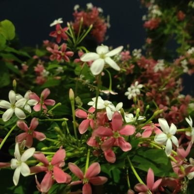 rtsydney6's profile picture. 