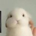 โ (@st4rbutt3rcup) Twitter profile photo โ (@st4rbutt3rcup) Twitter profile photo