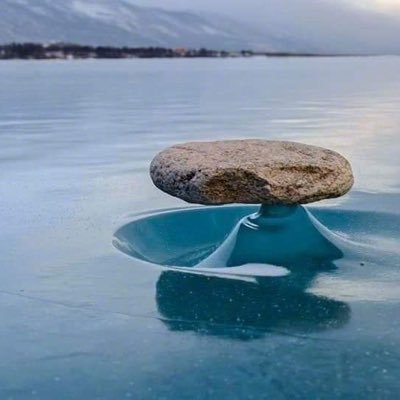 xVNoBPRgNmR2uYB's profile picture. 心念不起，自性不动。