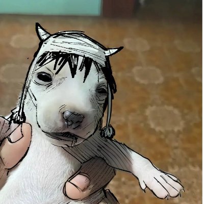 hhpprtee's profile picture. ola