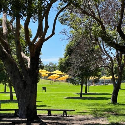 BeMarkovian's profile picture. Creator / Investor