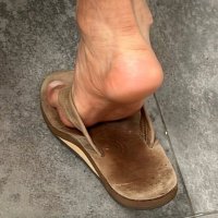 mforst80 24K+ (@mforst80) 's Twitter Profile