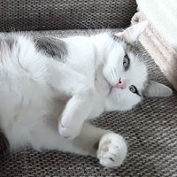 Der_traurige_Typ (@traurigertyp) 's Twitter Profile Photo Der_traurige_Typ (@traurigertyp) 's Twitter Profile Photo