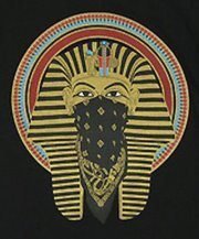 SunnyCarson777's profile picture. SELDOM SEEN; ALWAYS FELT