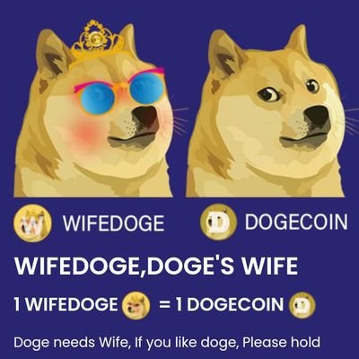 wifidoge