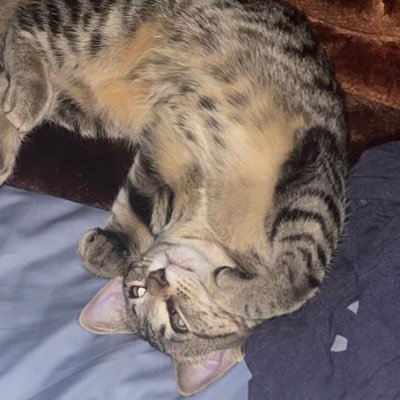chombo Profile