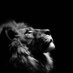 عطان مقيد متابعة (@gobguw1) Twitter profile photo عطان مقيد متابعة (@gobguw1) Twitter profile photo