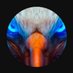 MAXEAGLES1900 (@maxeaglesm) Twitter profile photo MAXEAGLES1900 (@maxeaglesm) Twitter profile photo