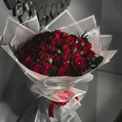 tasneemshaikh07's profile picture. Allhumdullilah 😌❤️✨