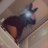 mym1592662's profile image