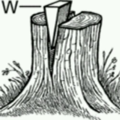 AutomaticSOS's profile picture. 