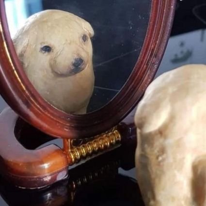 ecanteros's profile picture. Veo el monstruo en que me he convertido y lo amo 🫠