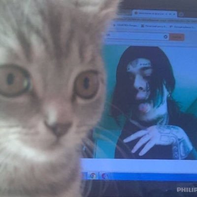 amn3s1a3983's profile picture. 