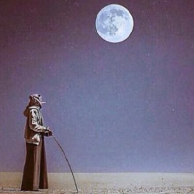 dl1shan's profile picture. لست مهتماً في الشعر : )