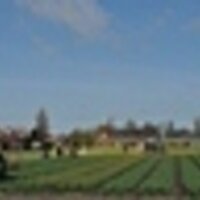 Mooi Nederland (@mooinederland) 's Twitter Profile