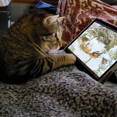 SusanK1717's profile picture. Human, okay?