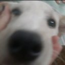 Saraely - @EriMar91520805 - Twitter