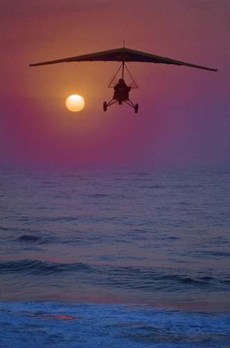 CoastalM's profile picture. Coastal Microlights the best Microlighting in Kenya,dedicated airstrip on the South Coast of Mombasa,Instructional flights,aerial photography and surveys.