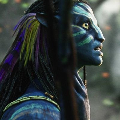 AVATAR - 2009

AVATAR THE WAY OF WATER - 2022 

Mainly smaller little details from the first and second movies.