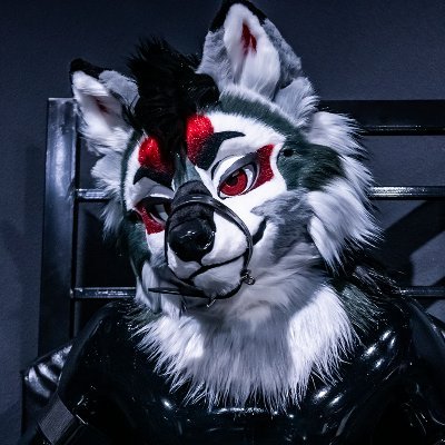 AD for a gimpy rubber fluffy wolf | Vers Bottom | Pan | DM/Telegram open | Main: @fluffphia 18+ or block |🐺by @MidnightMkrs | 💍@fetchfore | Openly play