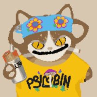 Jeremy 🕵️ (@cryptopenis2435) 's Twitter Profile