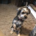 Loleta Johnson - @loleta_joh3266 - Twitter