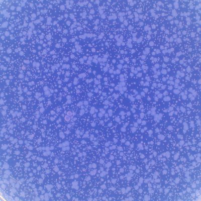 anoigntee's profile picture. 🌟 Sharing the wonders of science! 🧪🔬 | Weekly science Q&A giveaways 🎁 | Join the curious community! 🌐