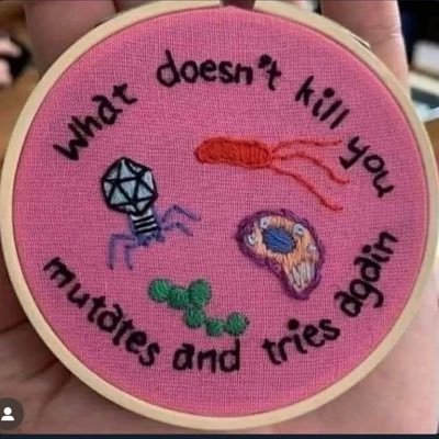 Zhang_wen775825's profile picture. 