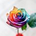 レインボーな薔薇 (@yuna_yuna_cha) Twitter profile photo レインボーな薔薇 (@yuna_yuna_cha) Twitter profile photo