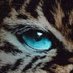 🄳🅄🅄🅄🅅🄰🄻◼🄹🄰🄶🅂 (@duuuvaljags) Twitter profile photo 🄳🅄🅄🅄🅅🄰🄻◼🄹🄰🄶🅂 (@duuuvaljags) Twitter profile photo