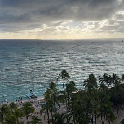 ml184756778990's profile picture. 