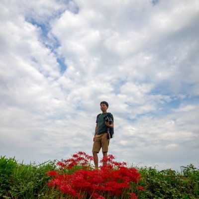 フォトグラファー /やさしい光のポートレート/日々の写真/人のいる風景と心がすこしゆれる瞬間を撮っています/写真・note・撮影依頼:DM、リンクからどうぞ。