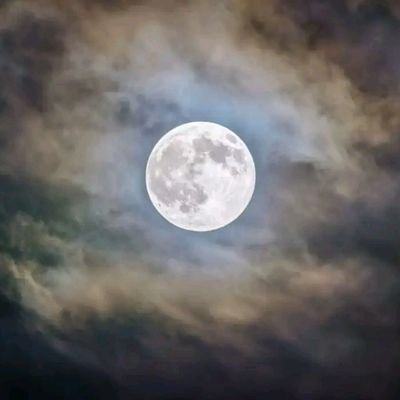 Letona_4's profile picture. 🙏
IG: Mokgalaka