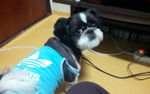 gloril0417's profile picture. make up  artist!!!   글로리아!!!^