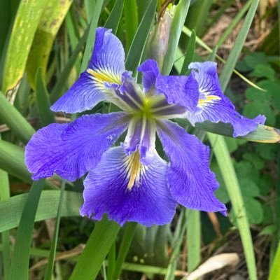 SarahAusti5775's profile picture. 