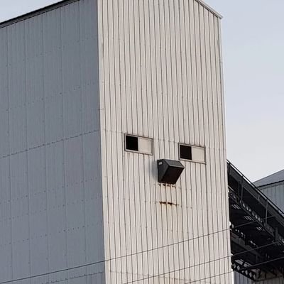 bxy22212's profile picture. 