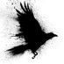 Zarathustra (@zarathustra5150) Twitter profile photo Zarathustra (@zarathustra5150) Twitter profile photo