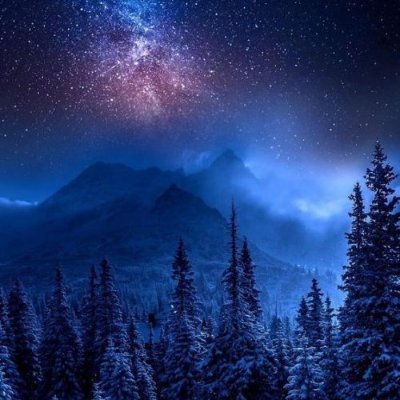 Francis65022618's profile picture. 