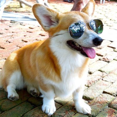 SherrieLyn70699's profile picture. Just someone wanting to live my life without the constant interference of the government.