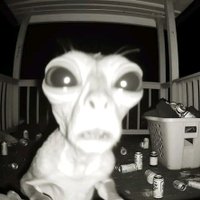 Chris (@khryss7) 's Twitter Profile Photo