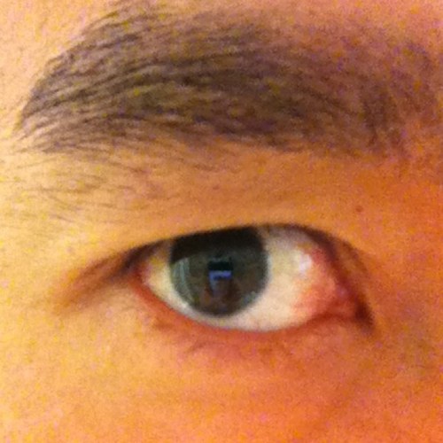 juno_go's profile picture. 