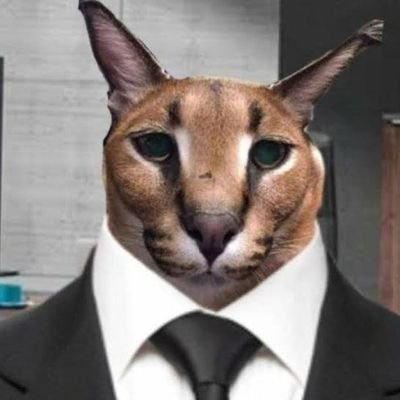 iBolis_'s profile picture. July osiosi