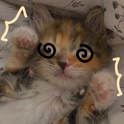 casey💫さんのプロフィール画像