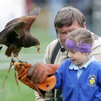 Countryside Learning (@countrysidel) 's Twitter Profile
