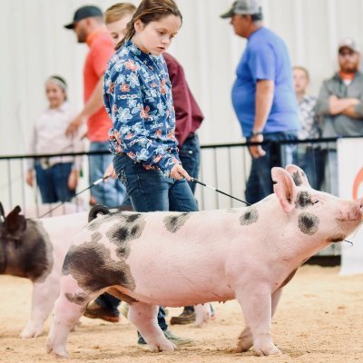 ListMadyson's profile picture. 