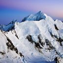 pet - @kennyYip999 - Twitter